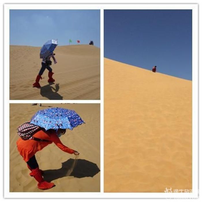 清爽之旅·鄂尔多斯ORDOS #订单8003504917