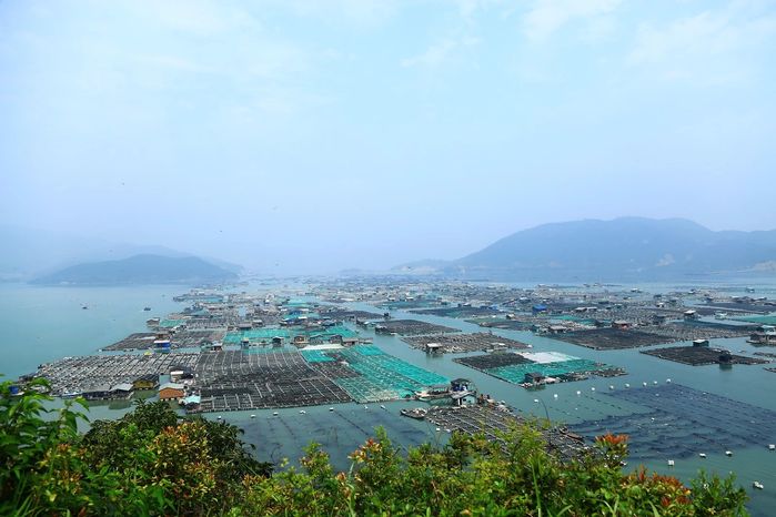 霞浦滩涂摄影之旅37