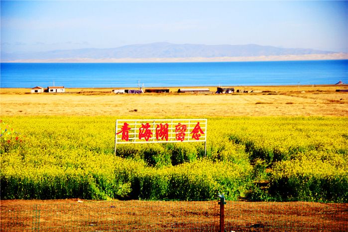 日出青海湖77