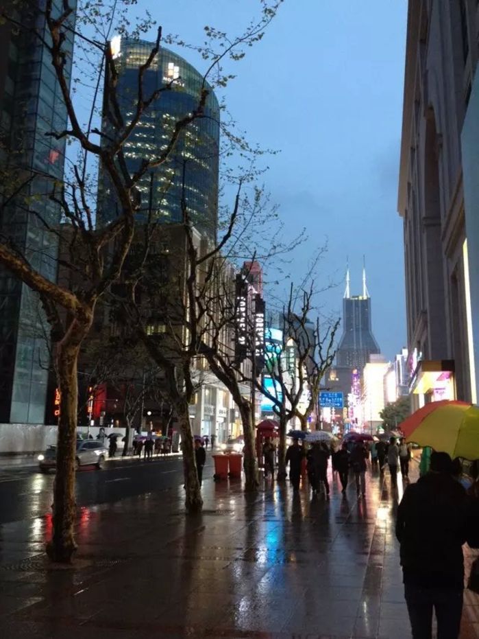 一个人的毕业旅行,上海--嘉兴乌镇--杭州4