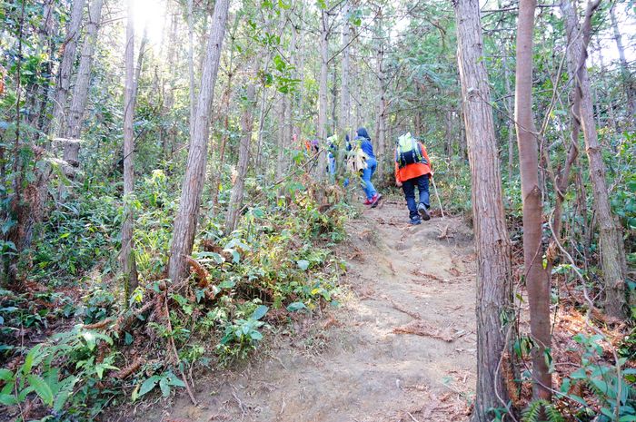 12月广东八排山顶1080.5高度 苑若大西北草原6