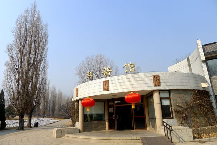 因为“国泰”，郁金香火了16