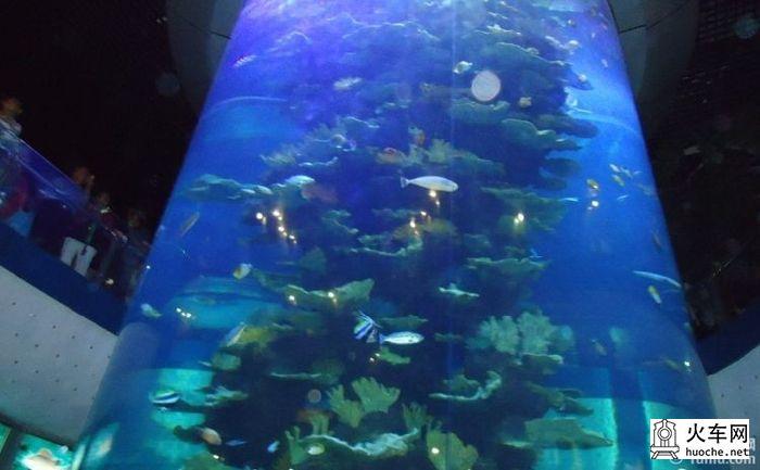 [美丽的青岛]青岛海滨亲子游36