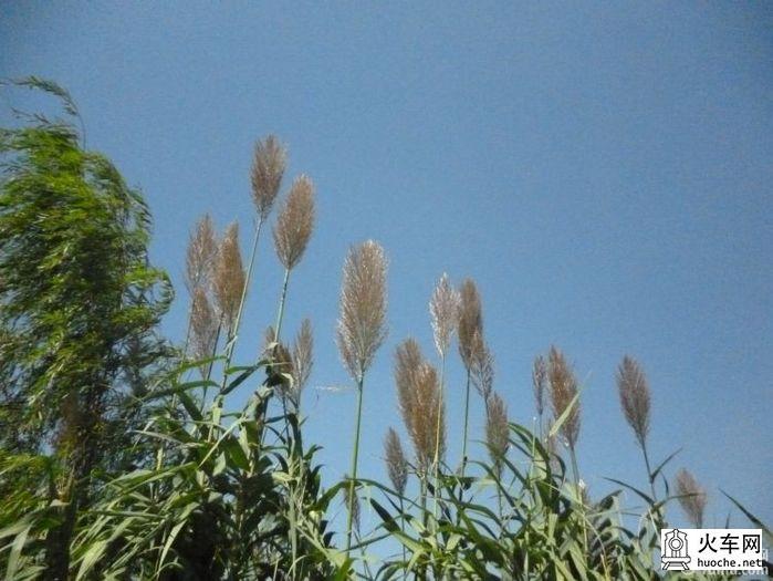 重阳登高燕子矶(观音景区)25