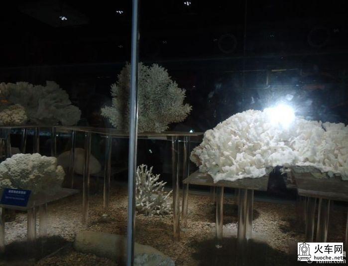 [美丽的青岛]青岛海滨亲子游24