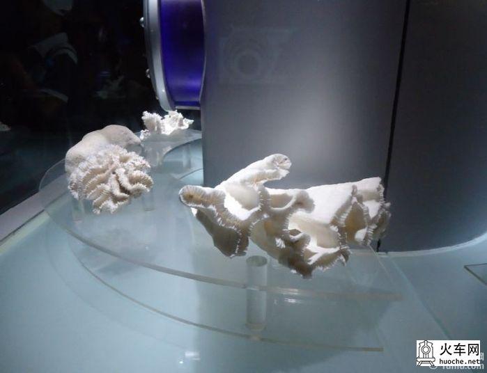 [美丽的青岛]青岛海滨亲子游20
