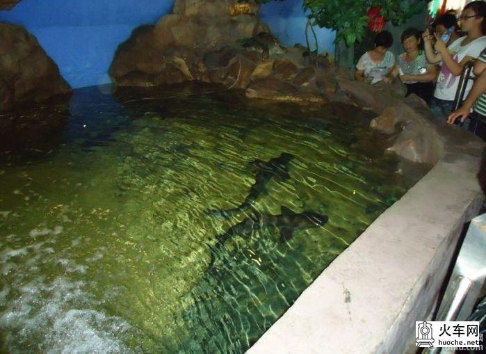 [美丽的青岛]青岛海滨亲子游28