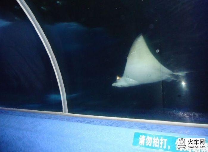 [美丽的青岛]青岛海滨亲子游31