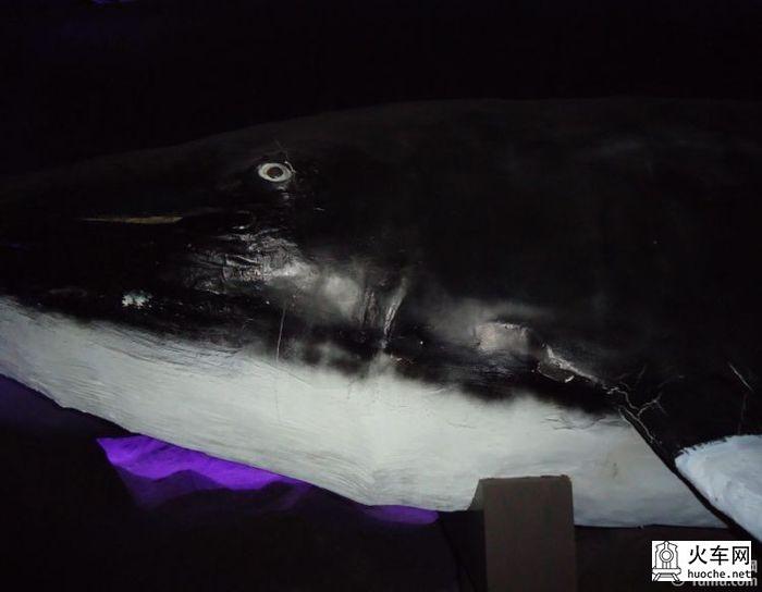 [美丽的青岛]青岛海滨亲子游27