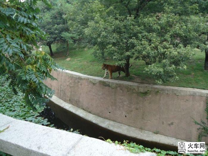 [美丽的青岛]青岛海滨亲子游5