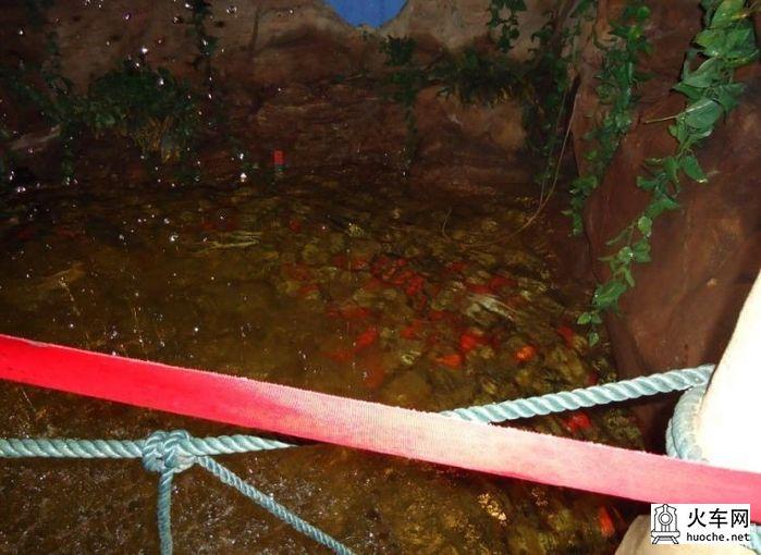 [美丽的青岛]青岛海滨亲子游30